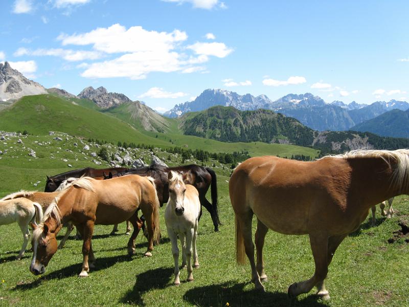 DOLOMITI2009 (118).JPG
